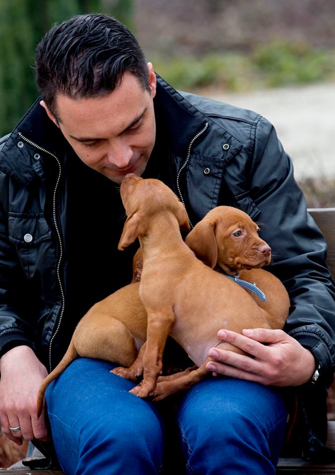 Illustration for article titled Vona Gábor hivatalosan is nagyobb lájkkurva Gyurcsánynál is