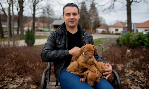 Illustration for article titled A legjobb friss blog a Gabor Vona Is Gay