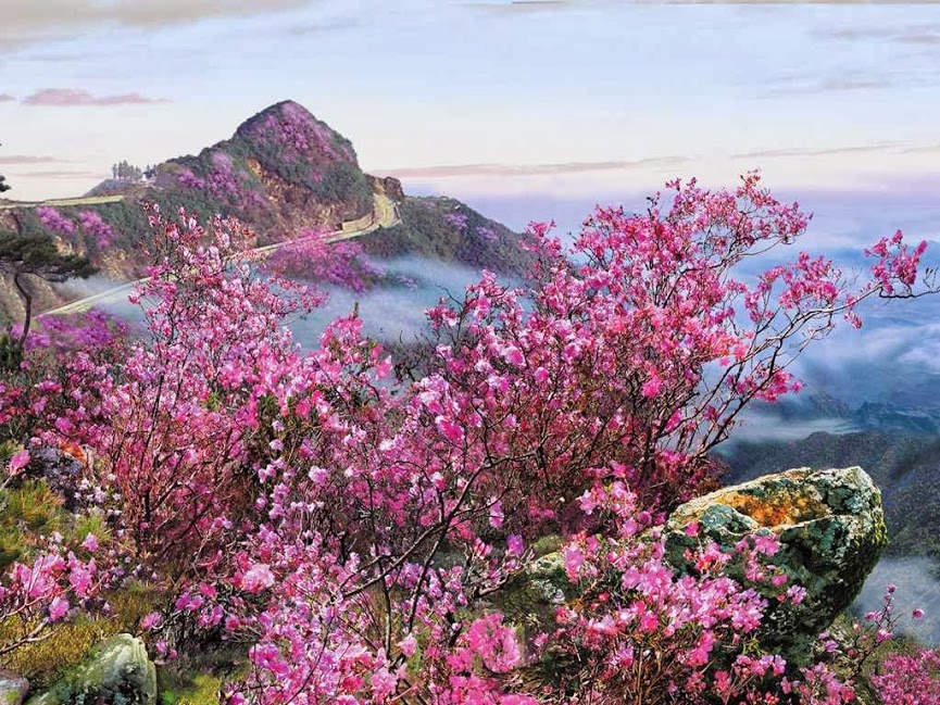 Illustration for article titled Ezek Észak-Korea hivatalos háttérképei