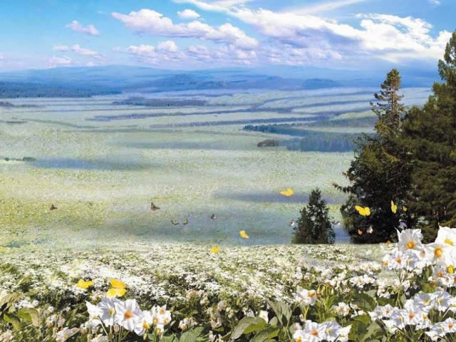 Illustration for article titled Ezek Észak-Korea hivatalos háttérképei