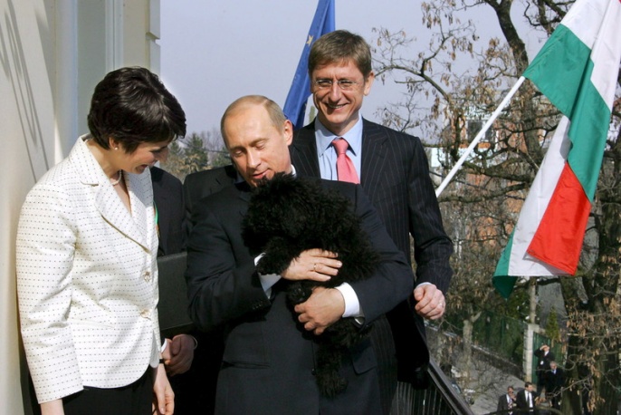 Totó kutya él, jól van, macskákkal haverkodik