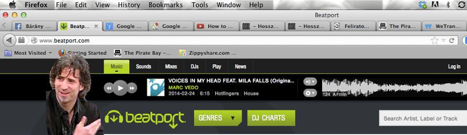 Illustration for article titled Nem veti meg a torrentet a DJ Szövetség alelnöke, Bárány Attila