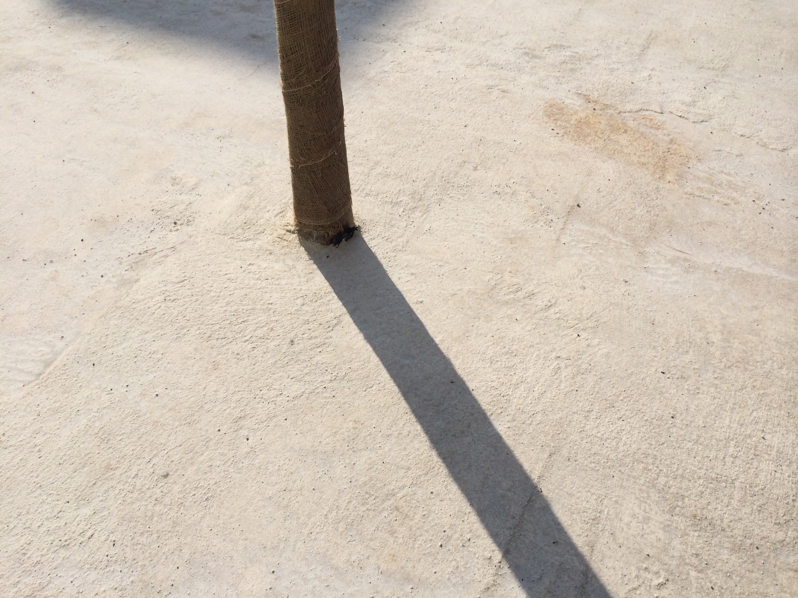 Miért betonoztak le egy csomó fát a Parlament mellett?