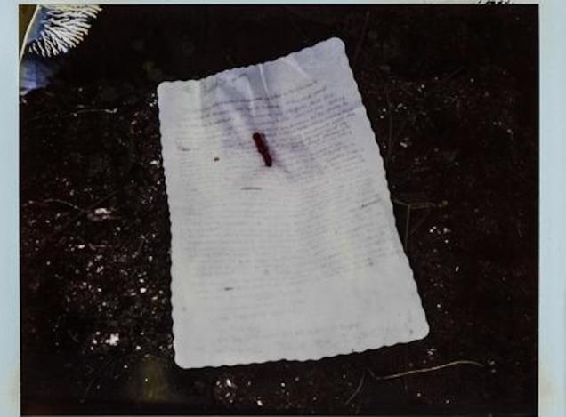 Illustration for article titled Virágágyásba szúrt levéllel búcsúzott Kurt Cobain