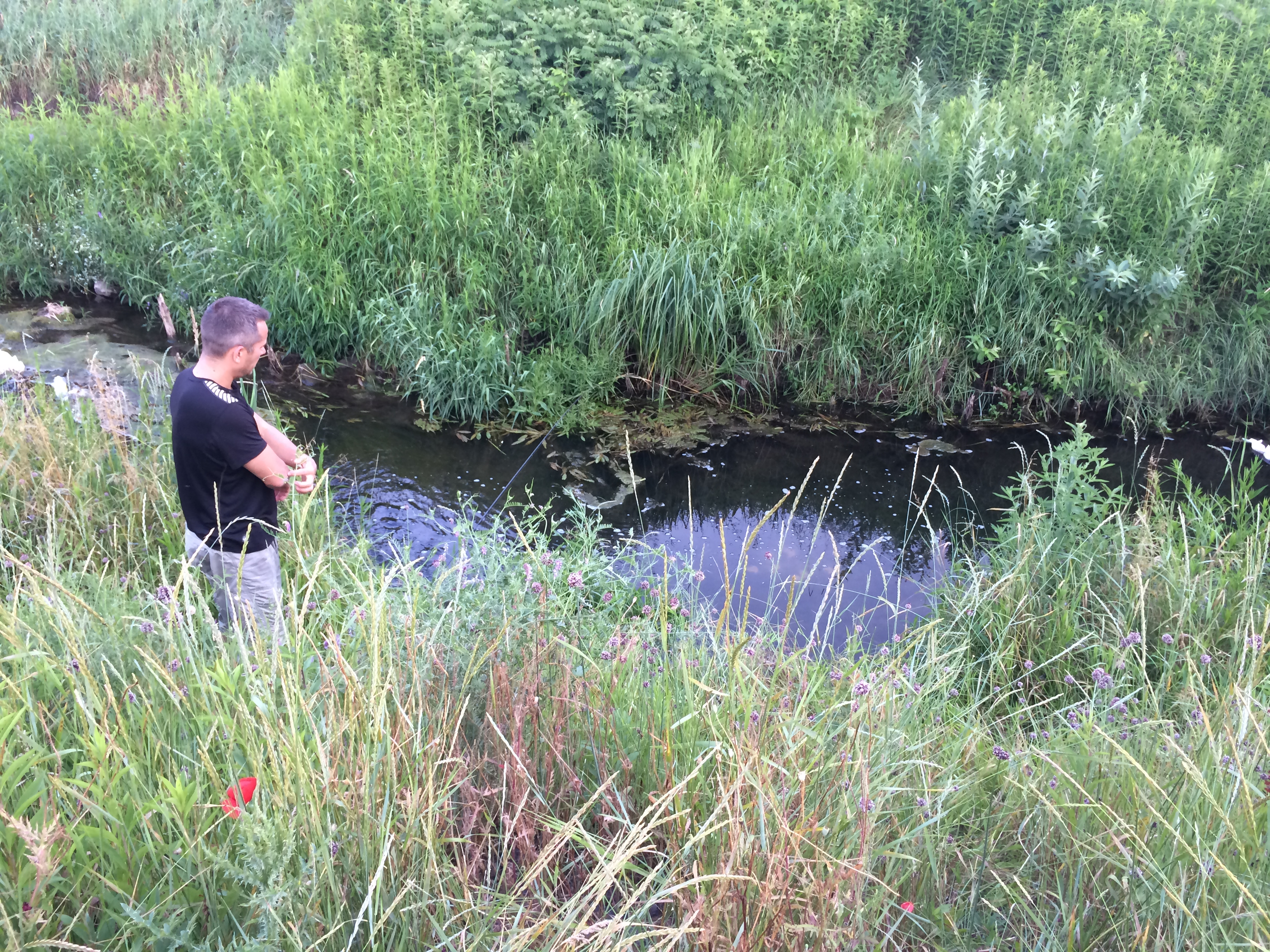 Illustration for article titled Elfoglalják a hazádat? Edd meg őket bosszúból!