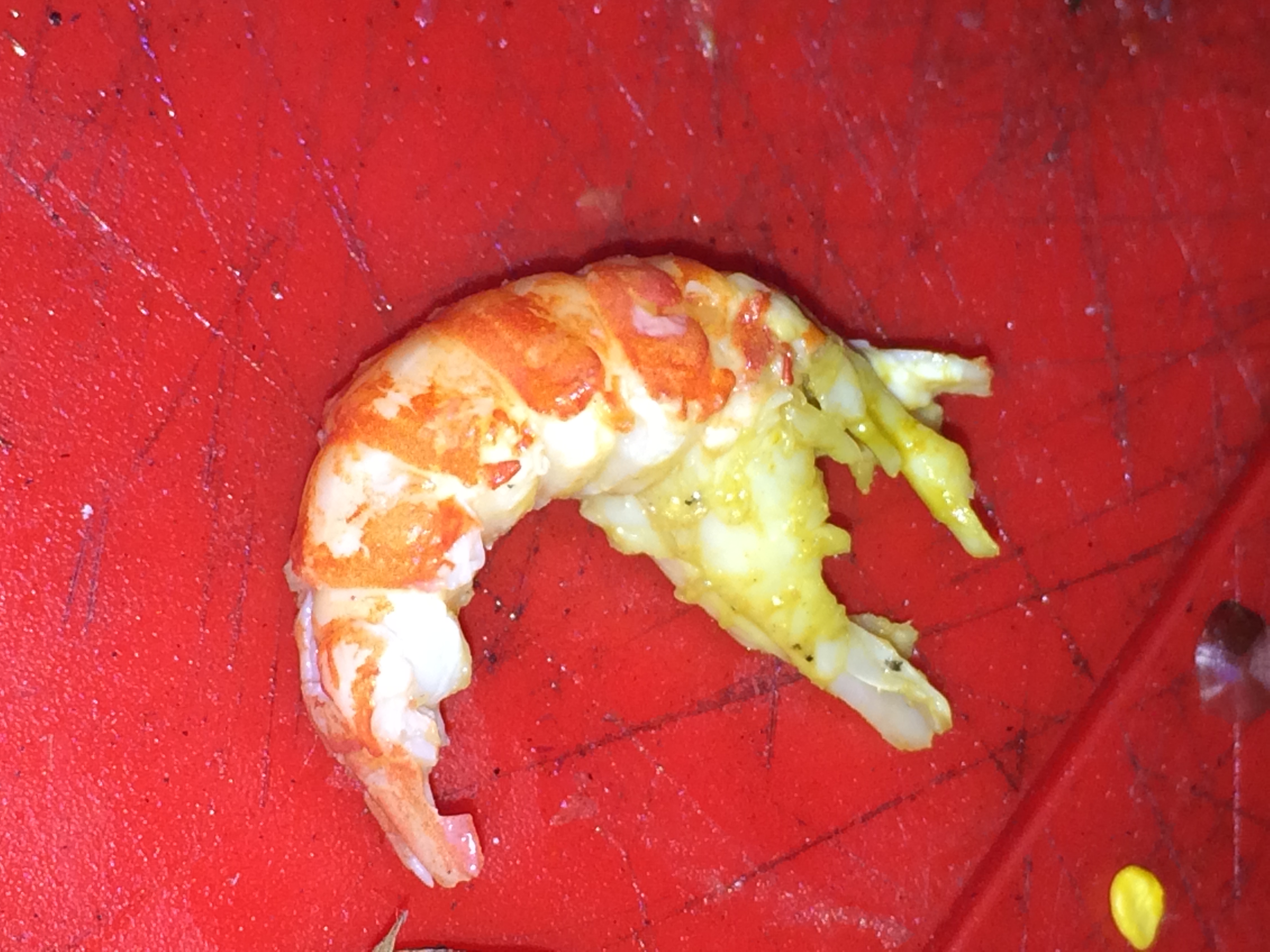 Illustration for article titled Elfoglalják a hazádat? Edd meg őket bosszúból!