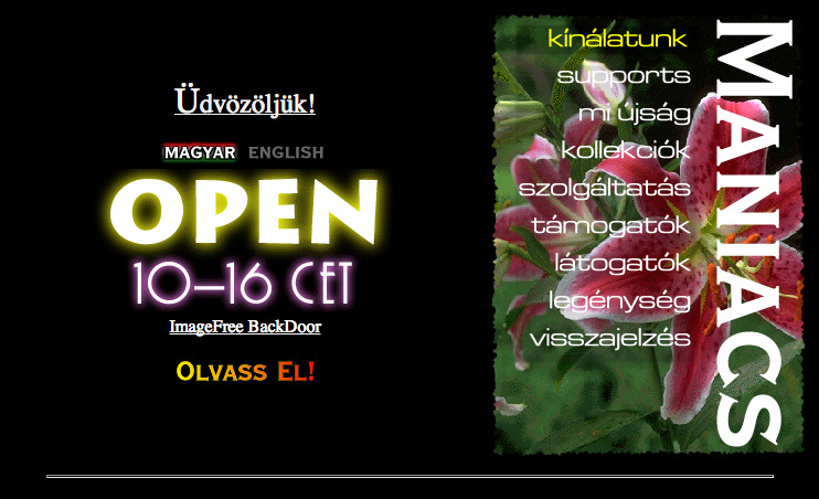 Illustration for article titled Íme ötven jó állapotú fosszília a magyar internet hajnaláról