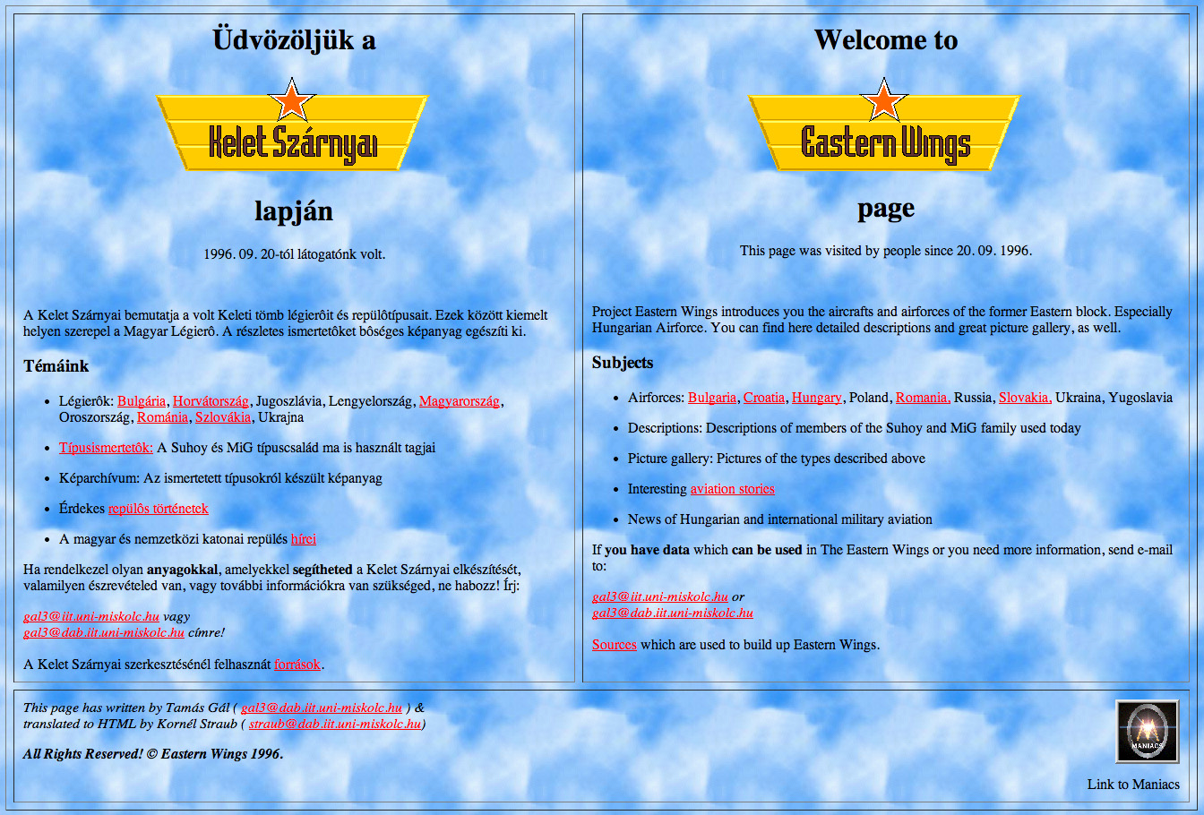 Illustration for article titled Íme ötven jó állapotú fosszília a magyar internet hajnaláról