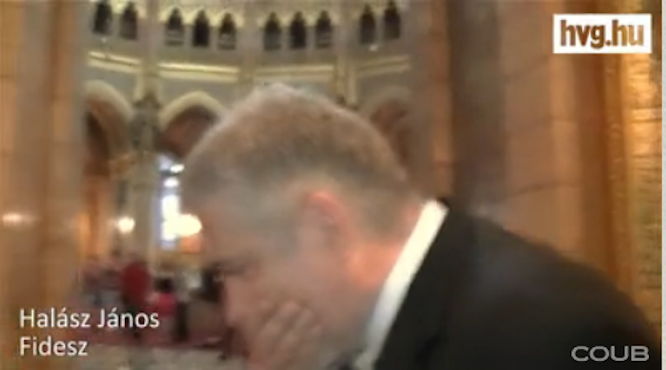 A nap mókamestere a kamuköhögő Halász János