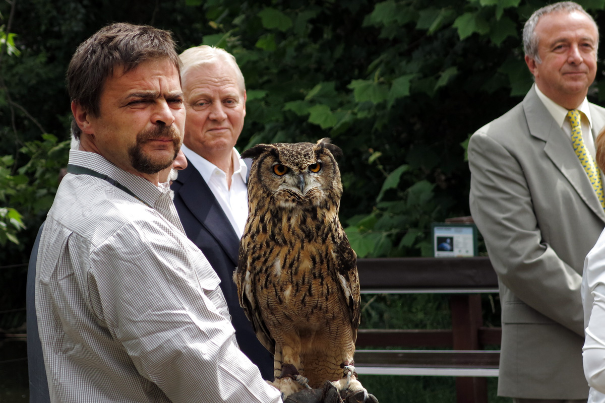 Illustration for article titled Arany hózentrógerben tekintette meg a hangyászt Tarlós István