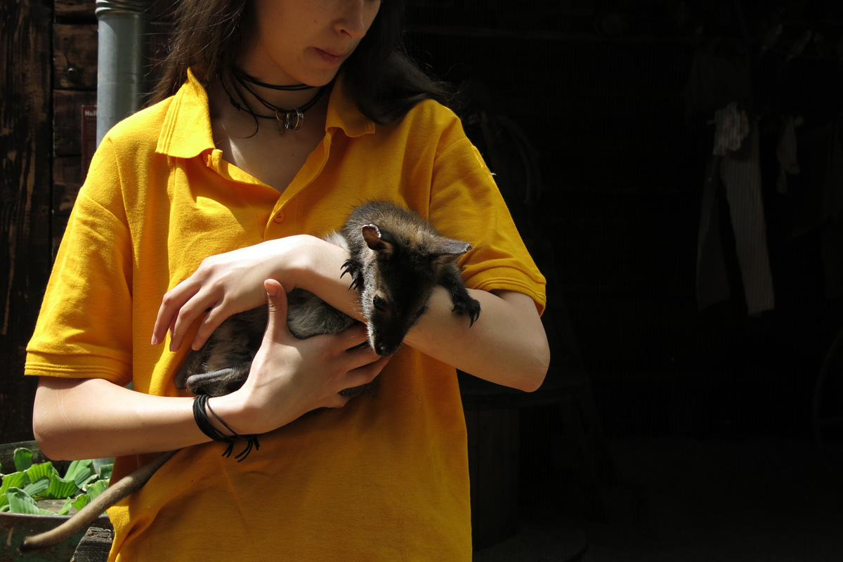 Illustration for article titled Arany hózentrógerben tekintette meg a hangyászt Tarlós István