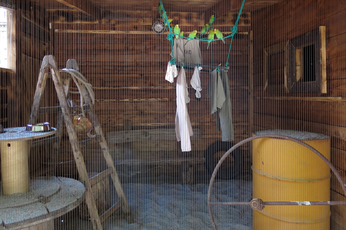 Illustration for article titled Arany hózentrógerben tekintette meg a hangyászt Tarlós István