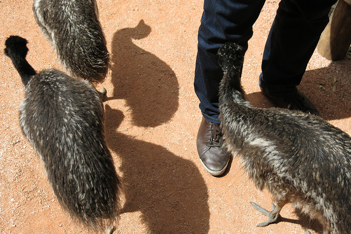 Illustration for article titled Arany hózentrógerben tekintette meg a hangyászt Tarlós István