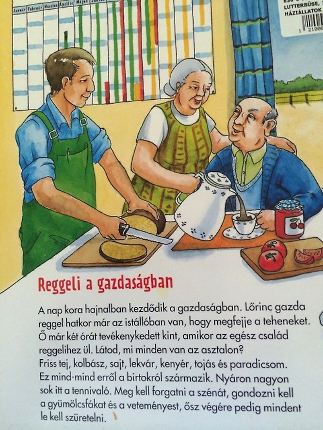 Bajnai Gordon titokban Mészáros Lőrinc cselédje