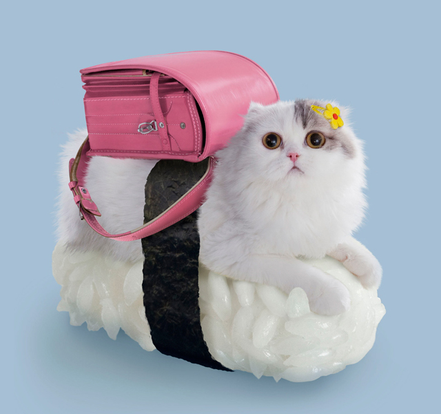 Illustration for article titled Macskaszusi az új dili Japánban