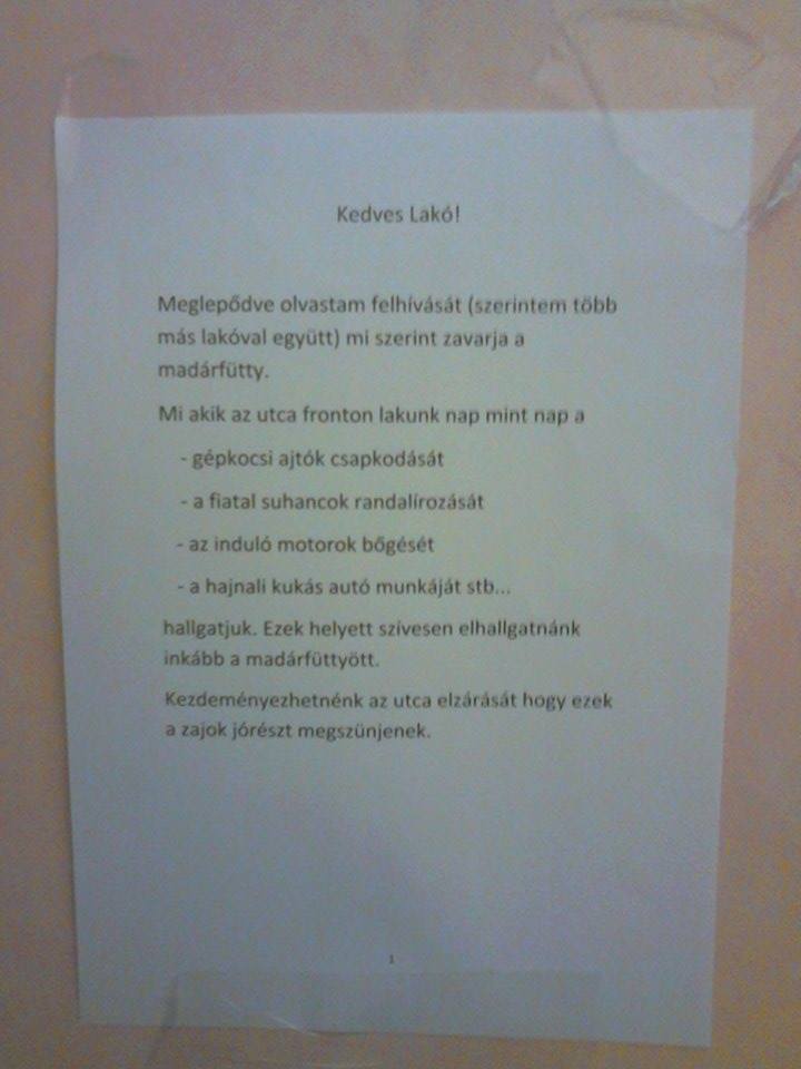 Illustration for article titled Kiborult a madárdalra, intézkedést követel a lakó
