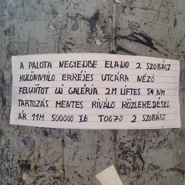 Megtaláltuk az igazi Török Szultánt