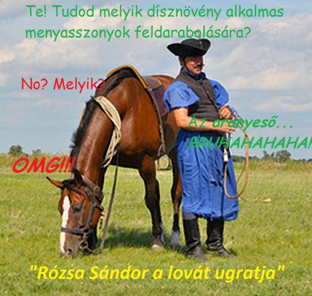 Duplacsavaros szóviccdémonnal erősít a Szamizdat