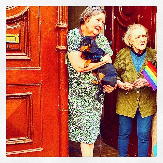 Illustration for article titled Véget ért a Pride-vonulás, a Városligetben folytatódik a buli