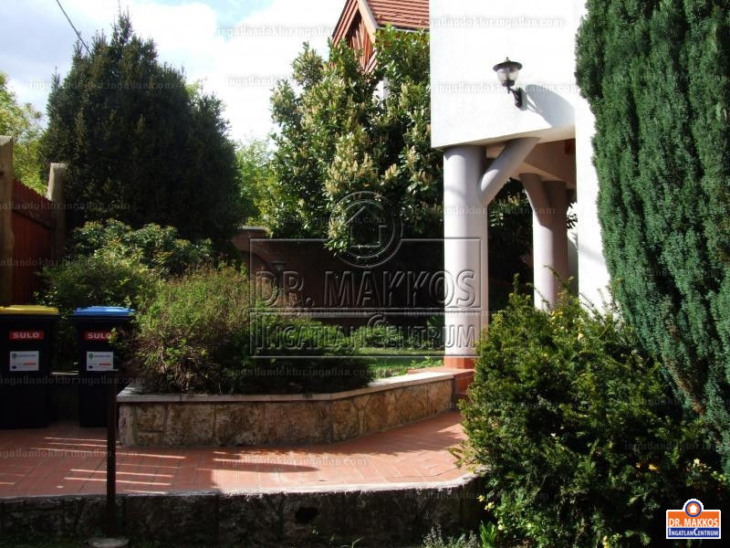 Ez a kamuzó ingatlanos bukott le a leghamarabb