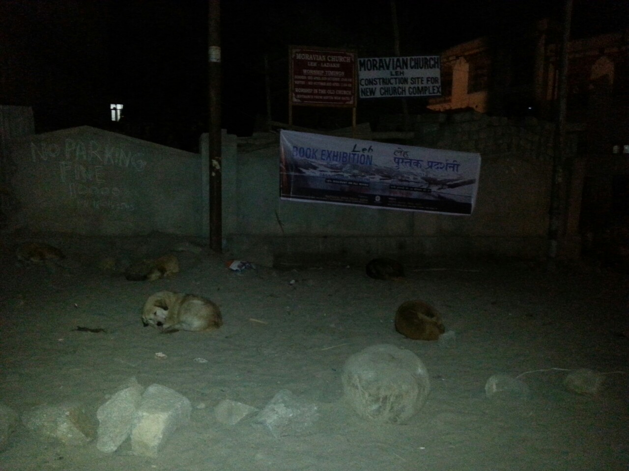 Illustration for article titled Felrobbant a méhem Nyugat-Tibet éjszakai életétől