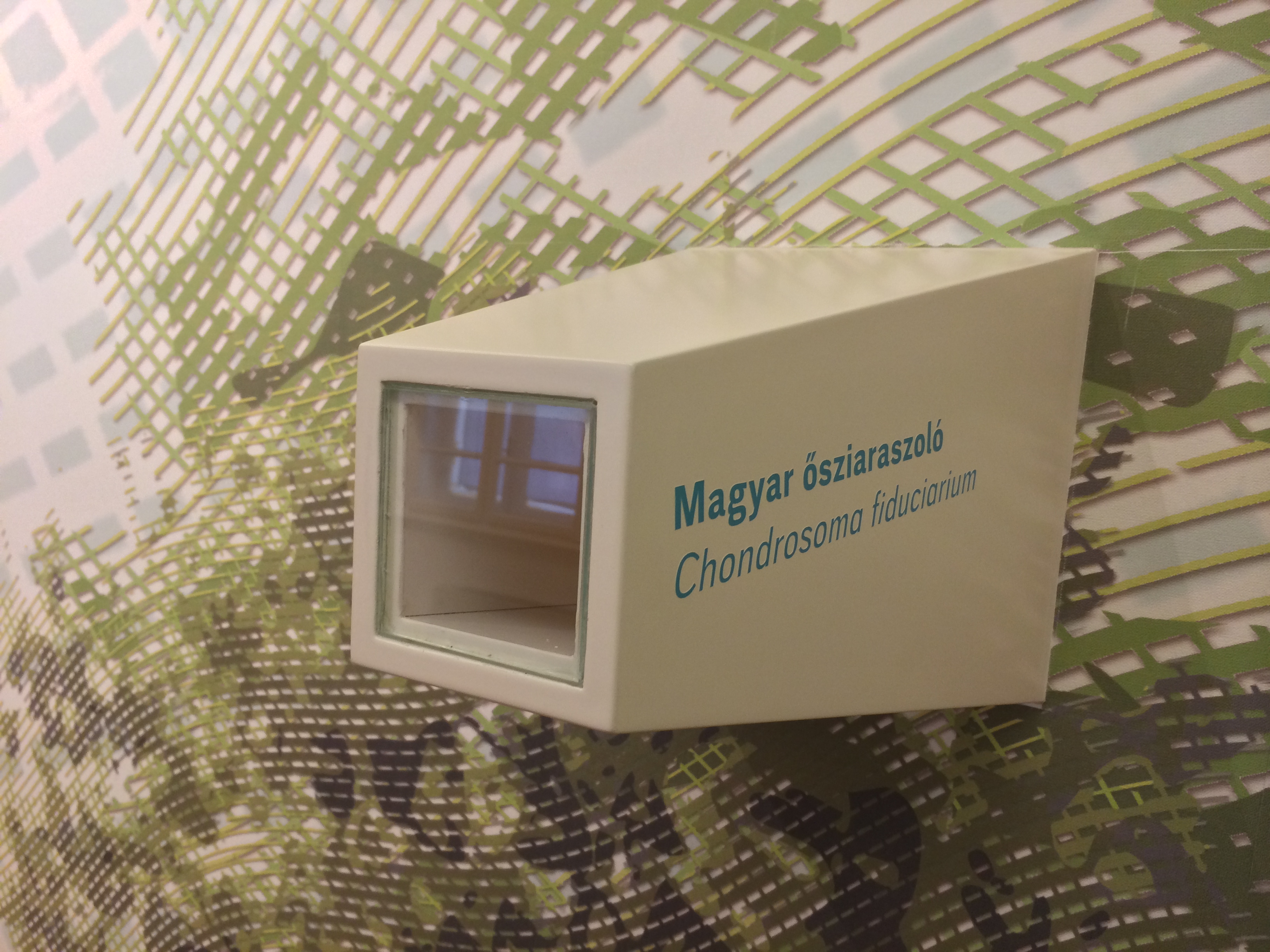 Illustration for article titled Ha ilyen lenne a nacionalizmus, legelöl ráznám a tarsolylemezt