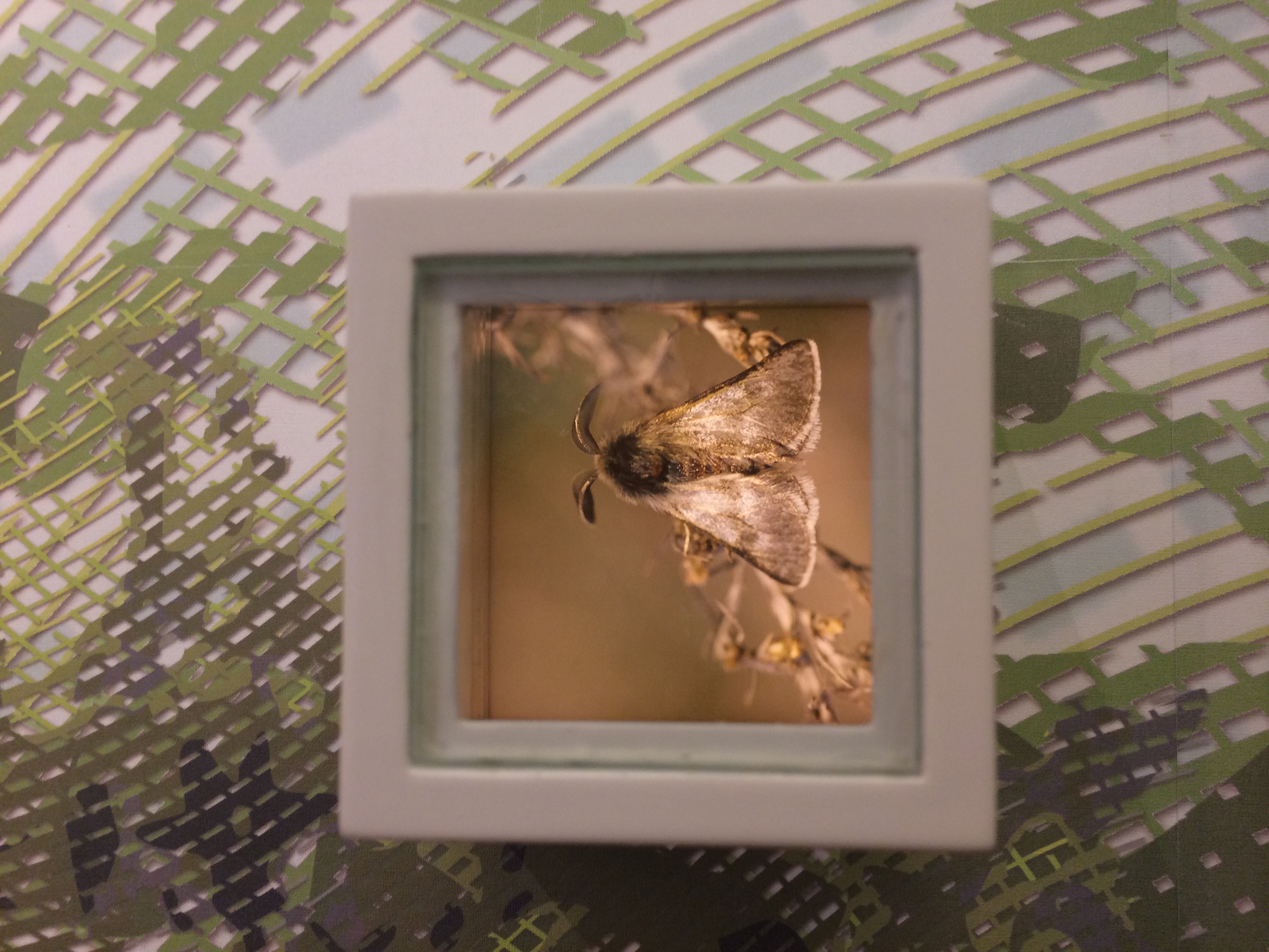 Illustration for article titled Ha ilyen lenne a nacionalizmus, legelöl ráznám a tarsolylemezt