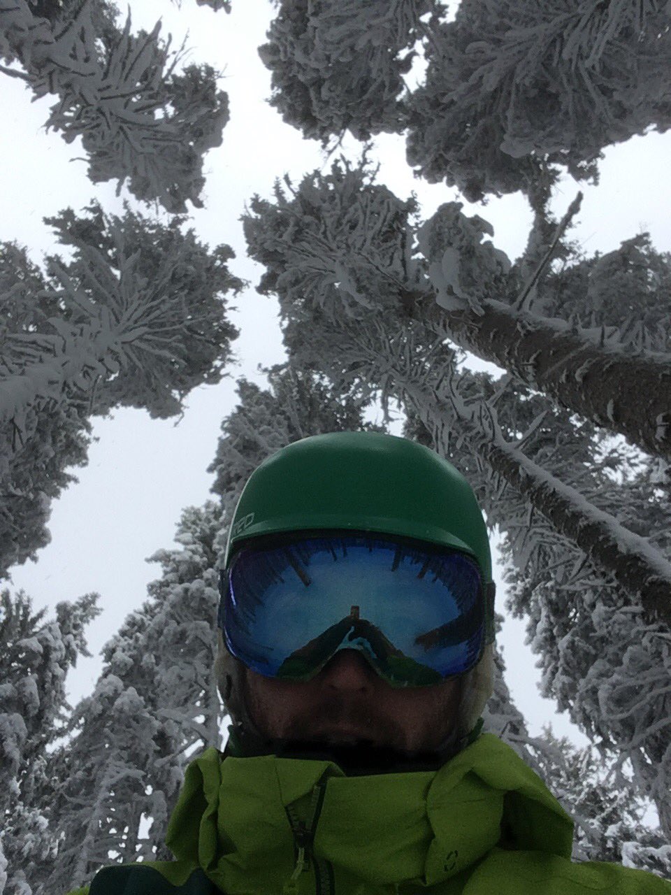 Illustration for article titled Erdődesszert