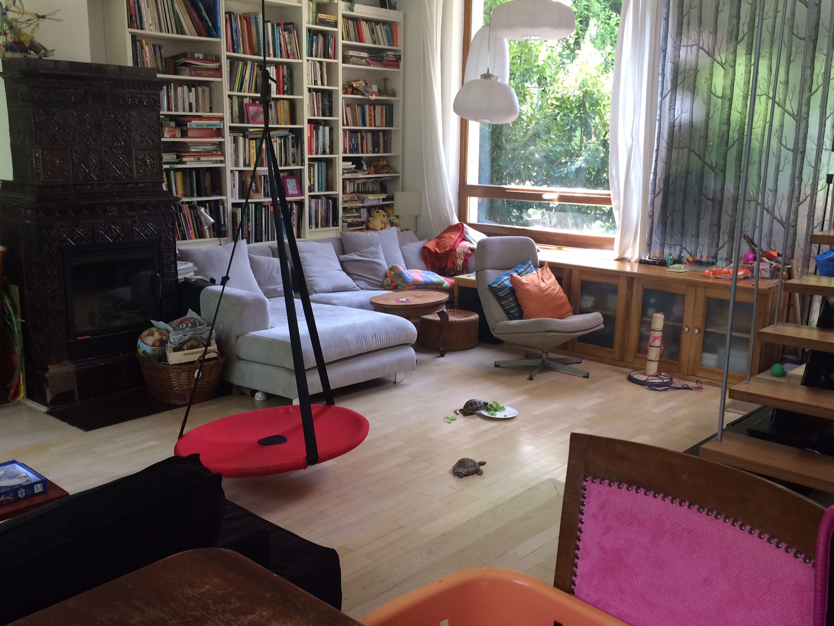 Illustration for article titled Csoda történt, másodszor is kitelelt és meglett a szökött görög teknős