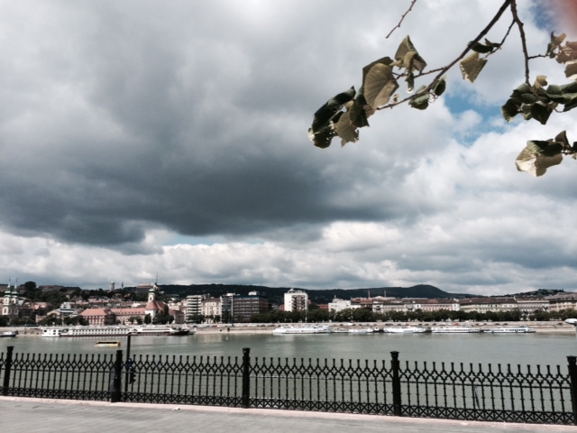 Pusztulnak a frissen ültetett fák a Parlamentnél