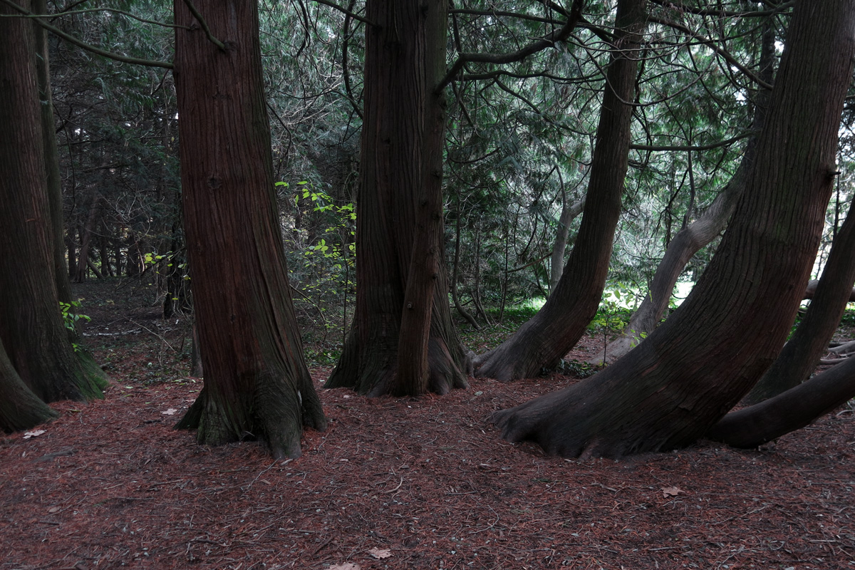 Illustration for article titled A legszebb dolog, amit József nádornak köszönhetünk