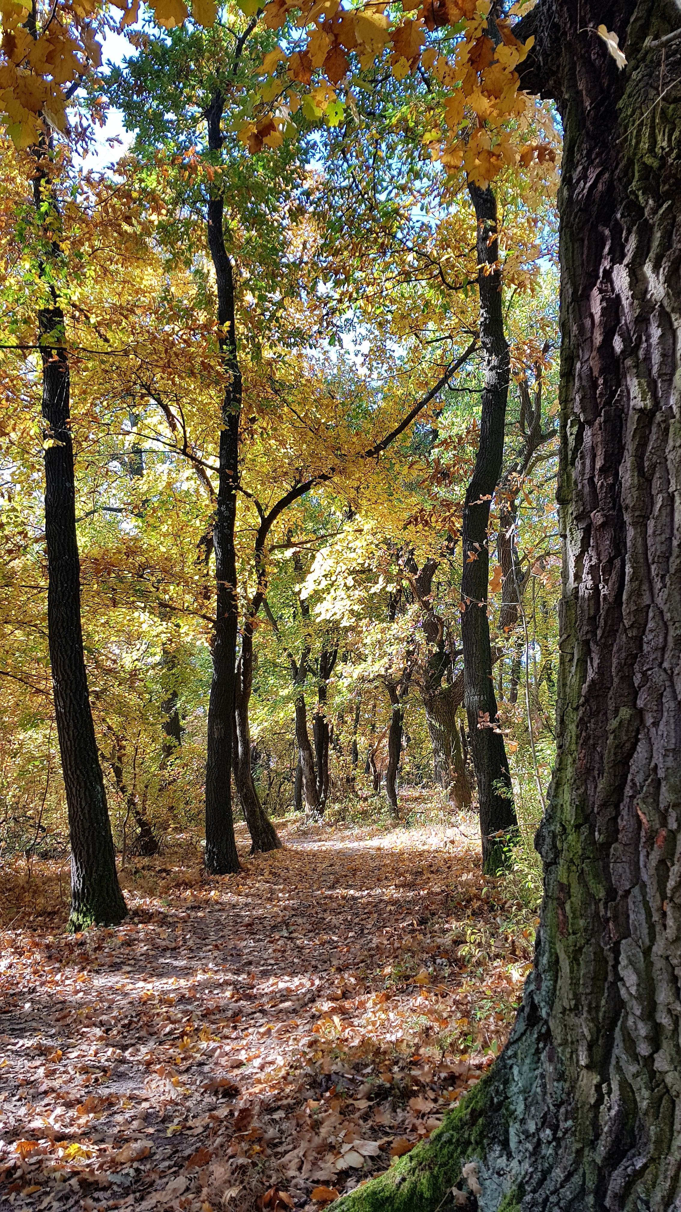 Illustration for article titled Időjárásjelentés