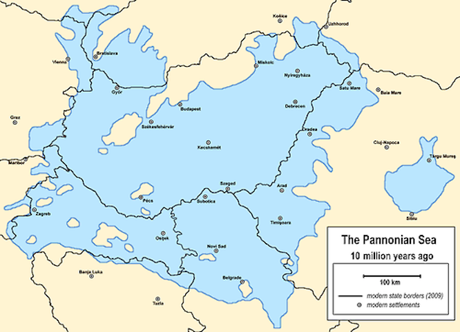 Tízmillió éve irtó szopó volt Szegeden élni