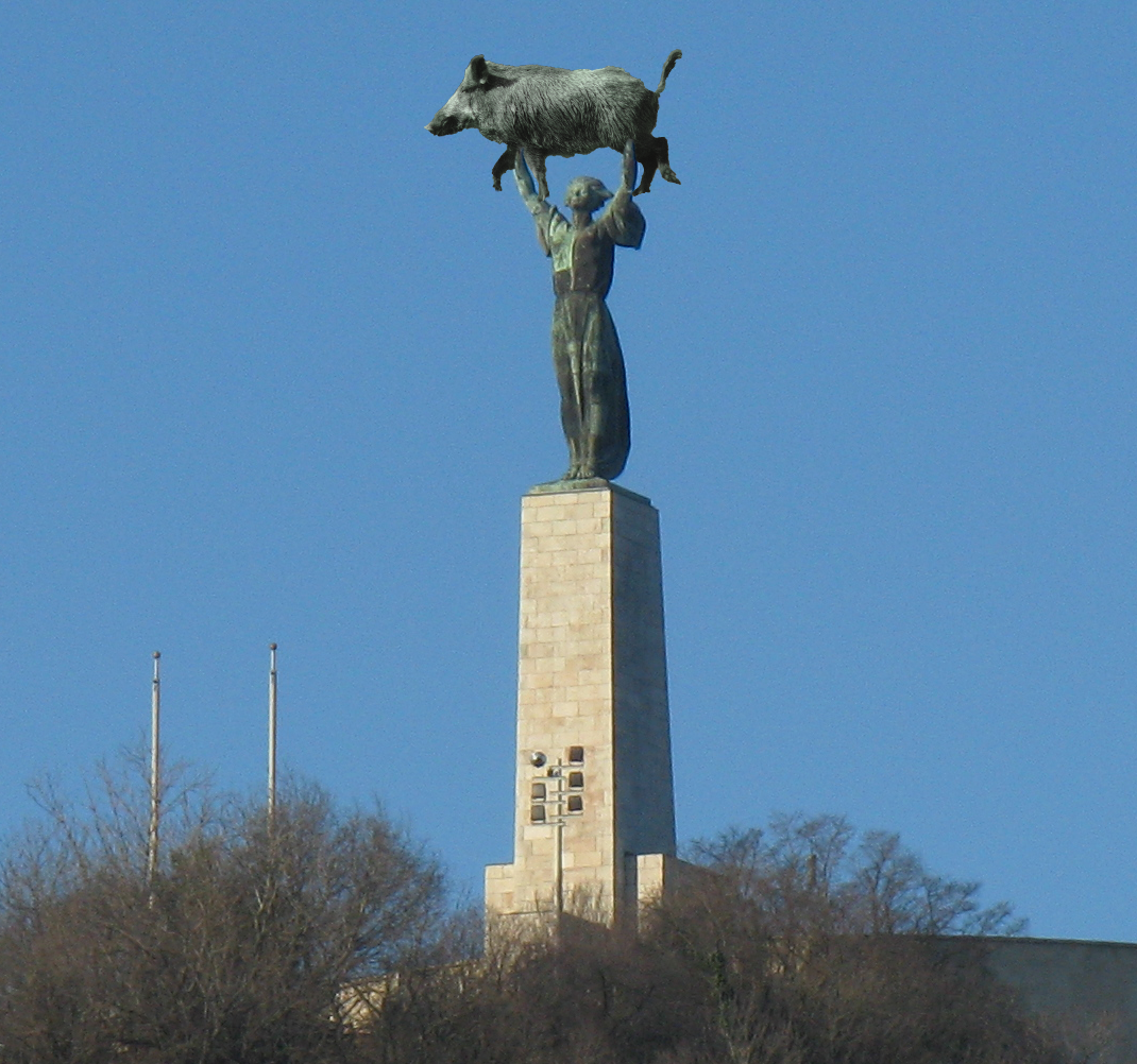 Pörög a mémgyár a pesti vaddisznók miatt