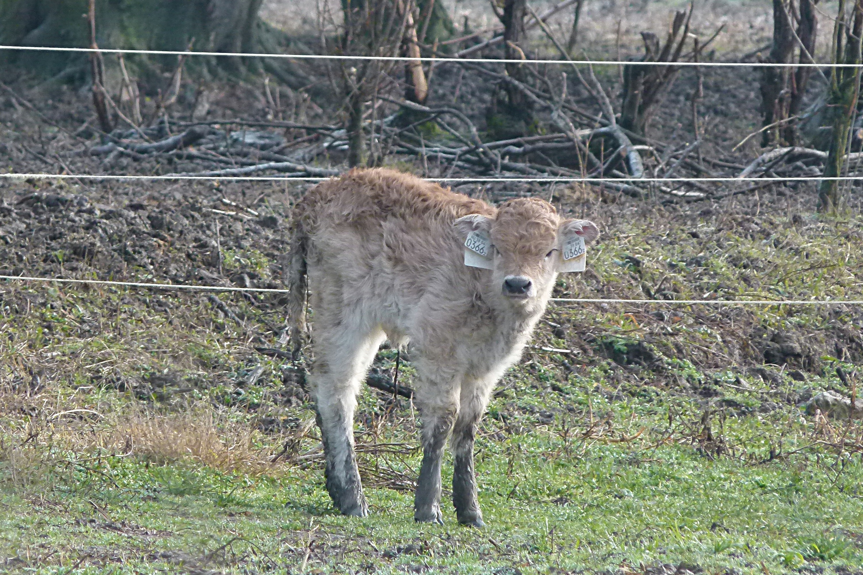 Illustration for article titled Igazoltatott a rendőr - megírom.