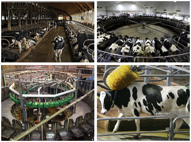 Illustration for article titled BUGYIBÓL - KATARBA! TEJÚTRENDSZER!