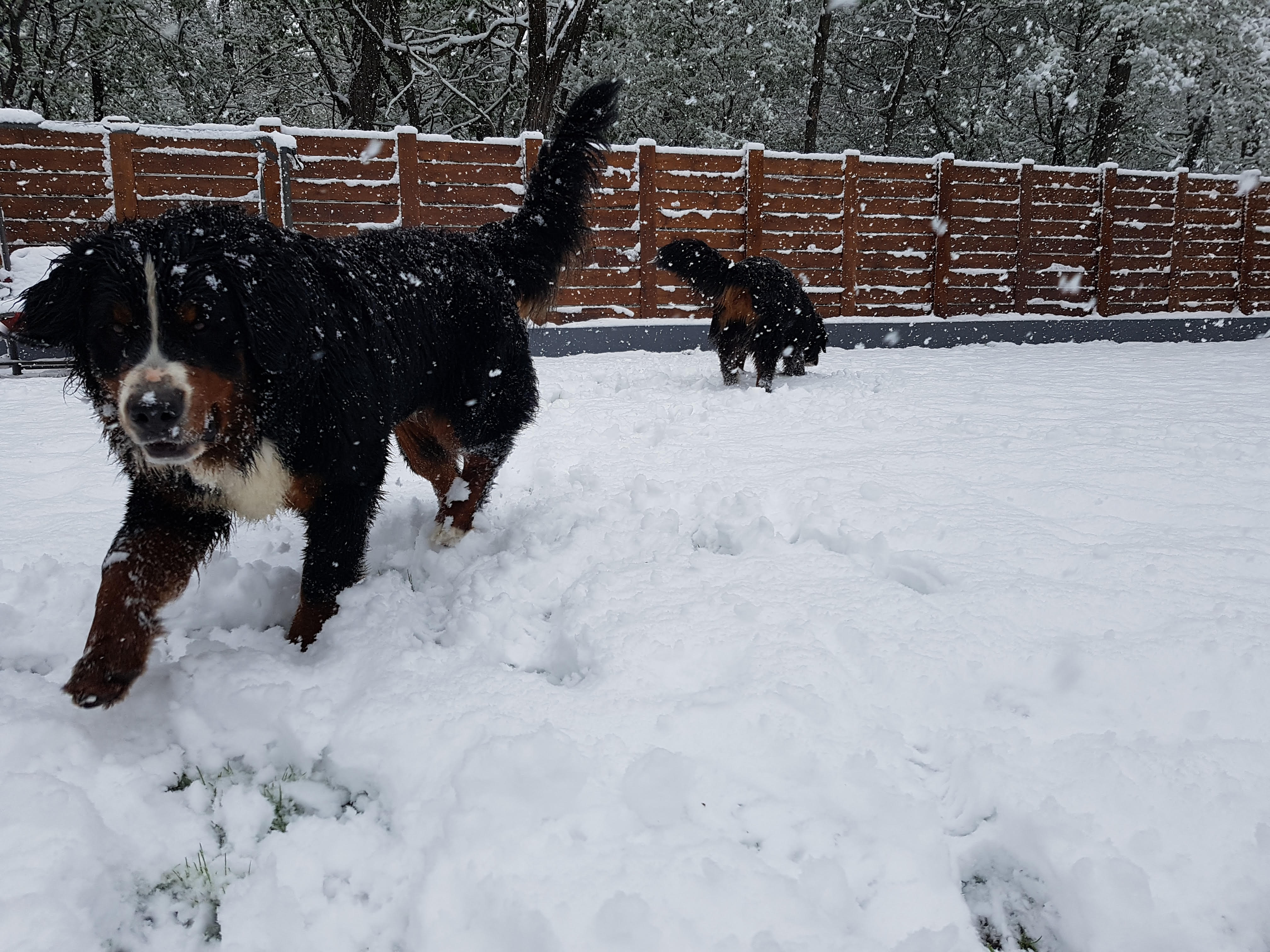 Illustration for article titled Időjárásjelentés