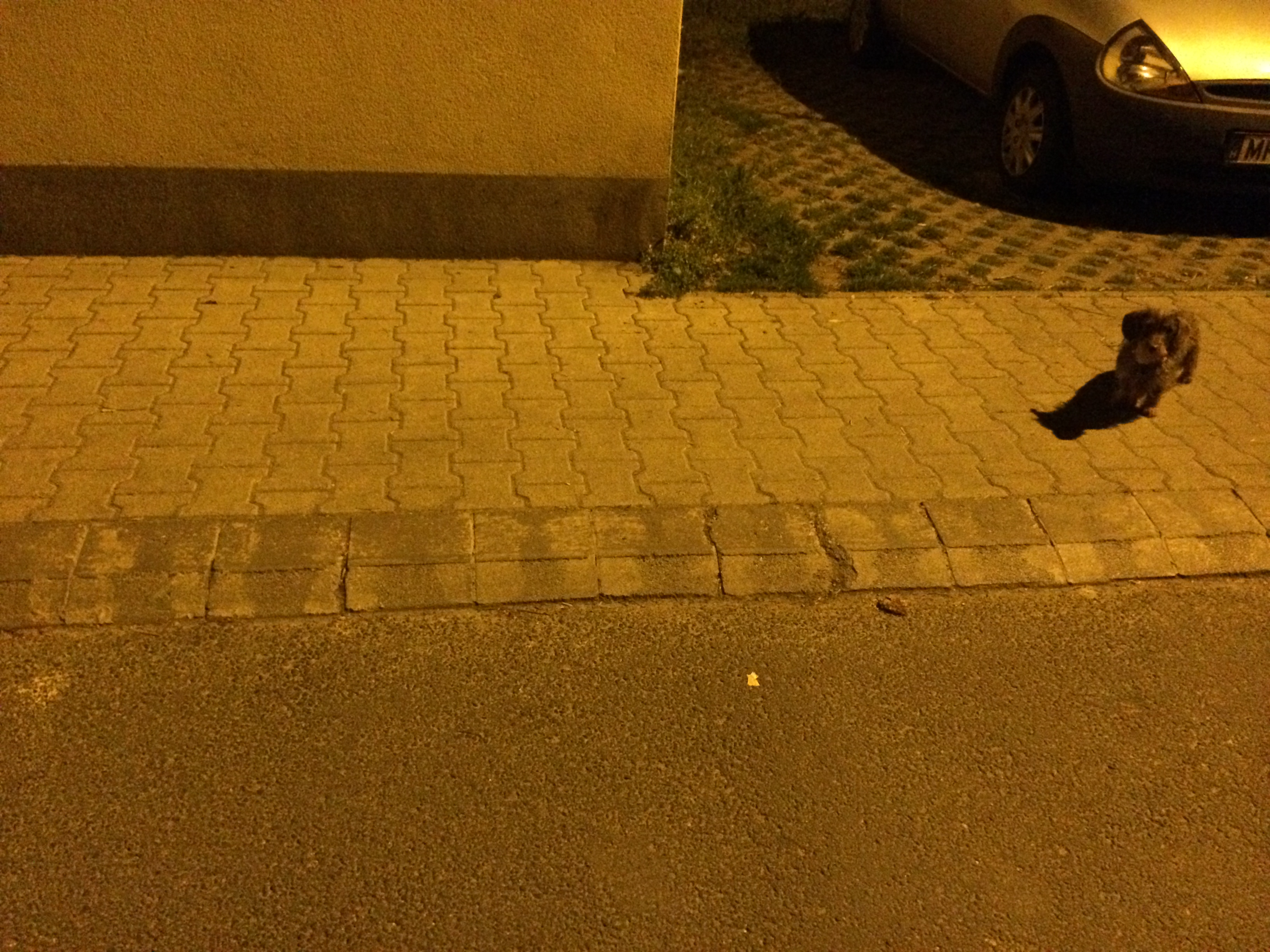 Illustration for article titled Mindeközben a Pasa Parkban