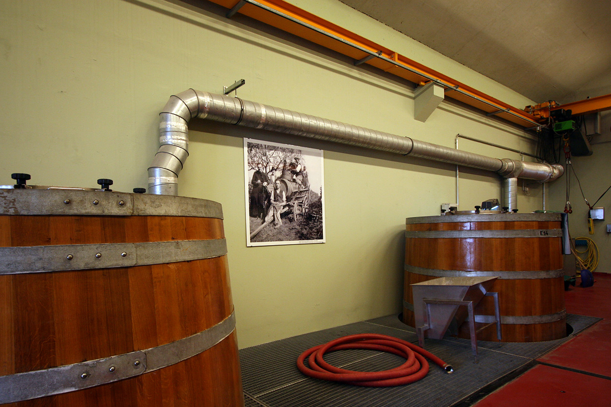 Illustration for article titled Papbor