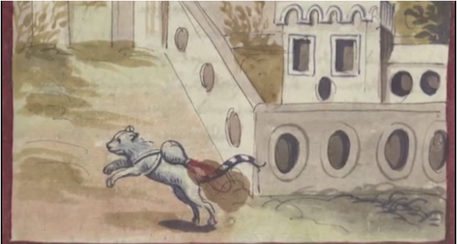 Illustration for article titled Bevetették-e élesben a macskarakétát?