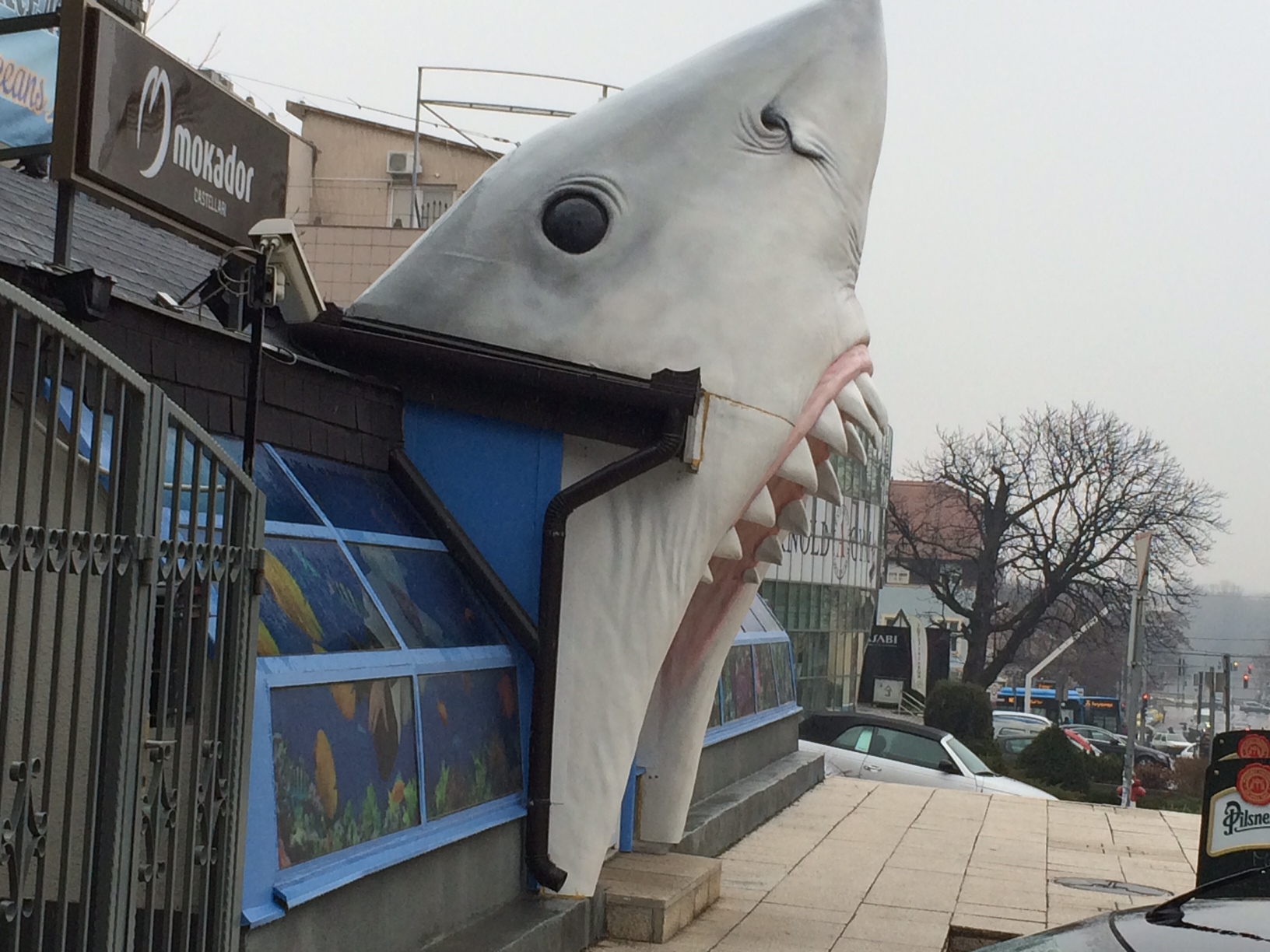Egy rohadt nagy cápa gyomrában ebédeltünk