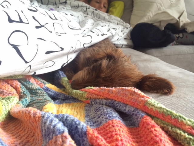 Illustration for article titled Te szemét Ismeretlen Fideszes Tolvaj, ez innentől személyes!