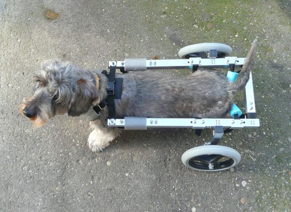 Illustration for article titled Hátsókerék meghajtású Zsombi