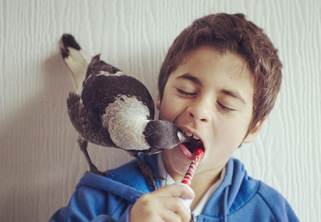 Ez a legijesztőbb kép most az interneten