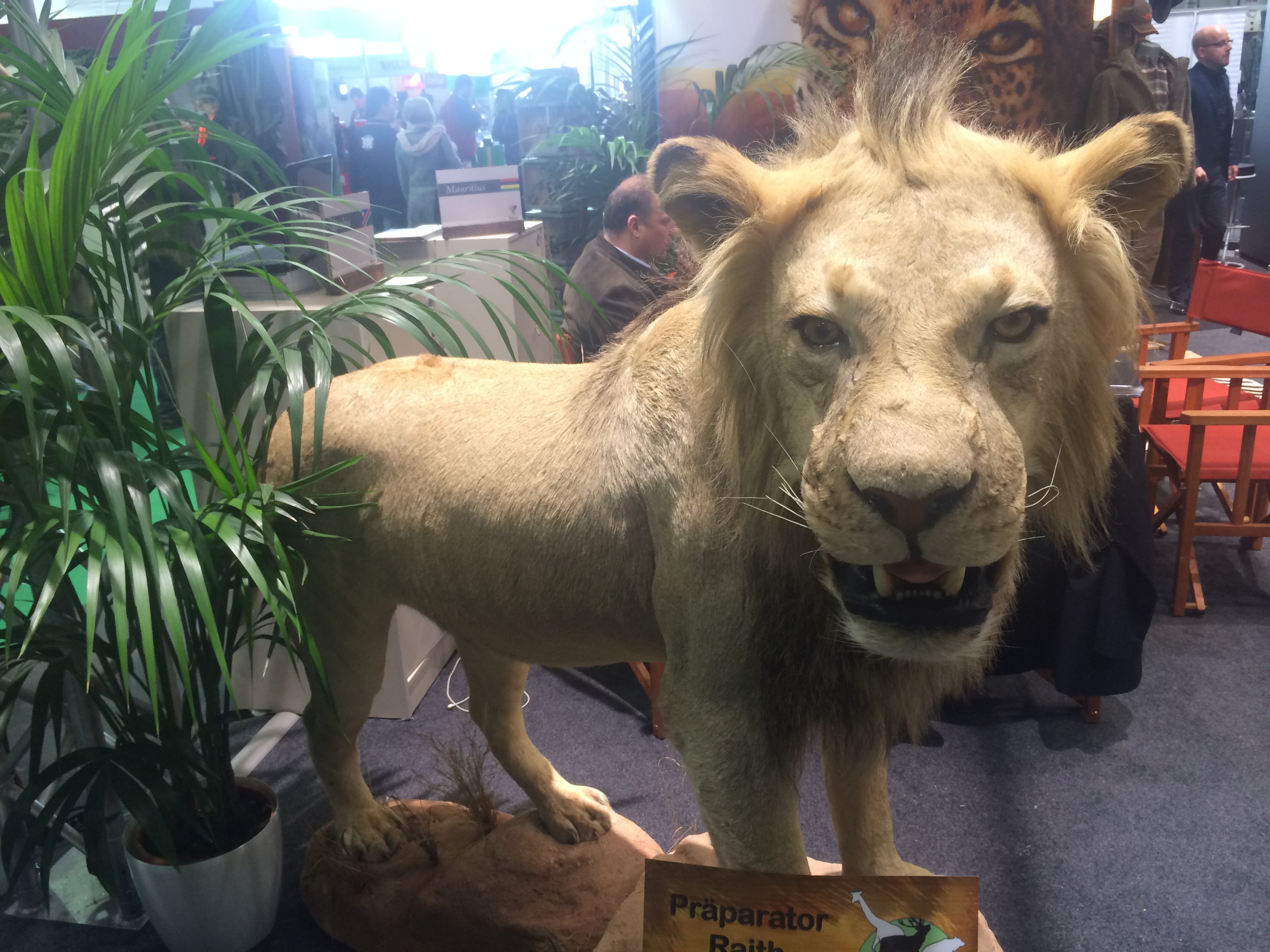 Illustration for article titled Így buliznak döglött állatokkal az ország legidiótábban öltözött emberei