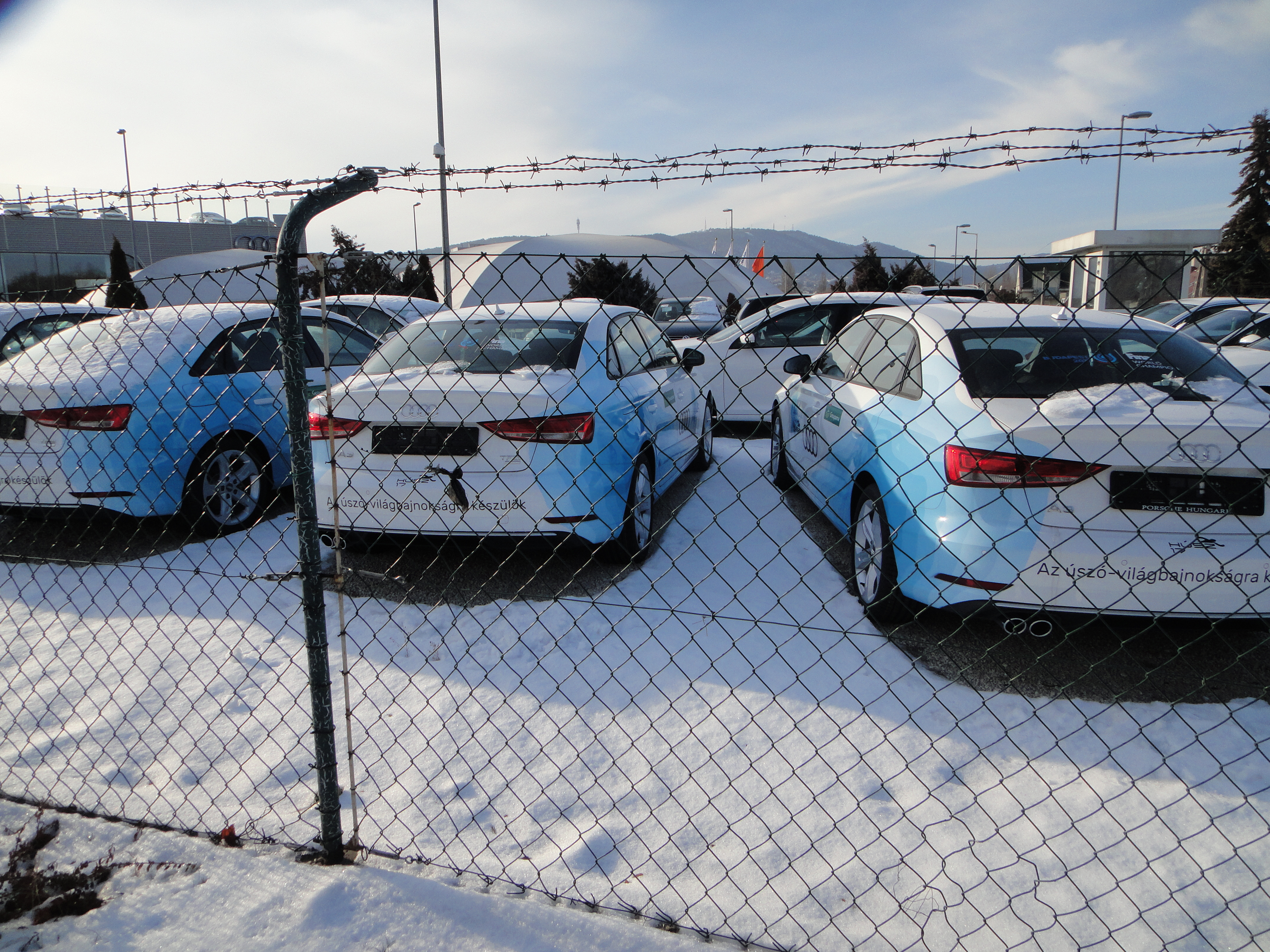 Illustration for article titled HÚSZ 17! Vanem/em-e köze az AUDI-nak a budapesti úszó VB-hez?