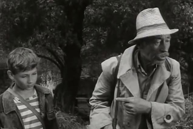 Igazságot Matula bácsinak!