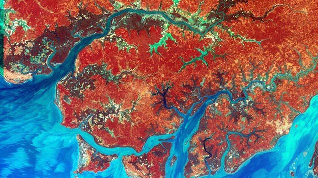 Kokain, denevérek, katonai puccsok: ismerje meg Simon Gábor hazáját