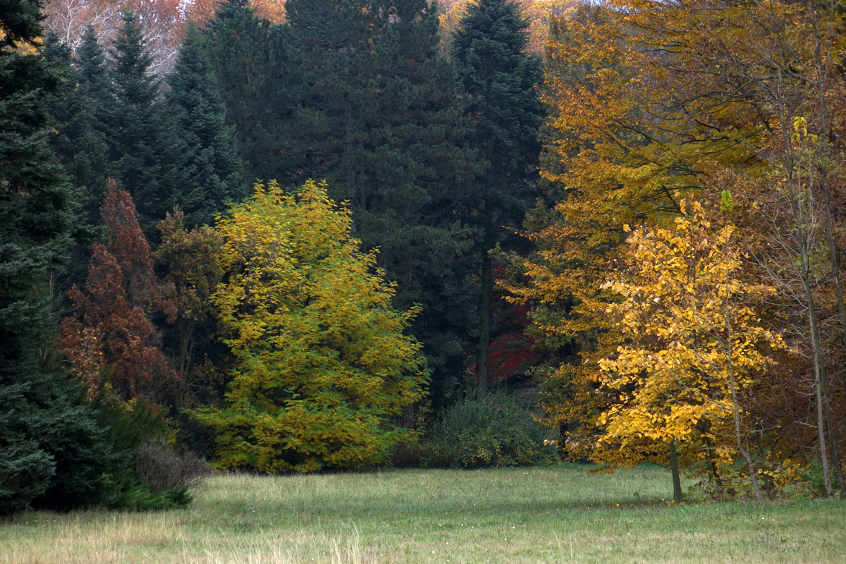 Illustration for article titled A legszebb dolog, amit József nádornak köszönhetünk