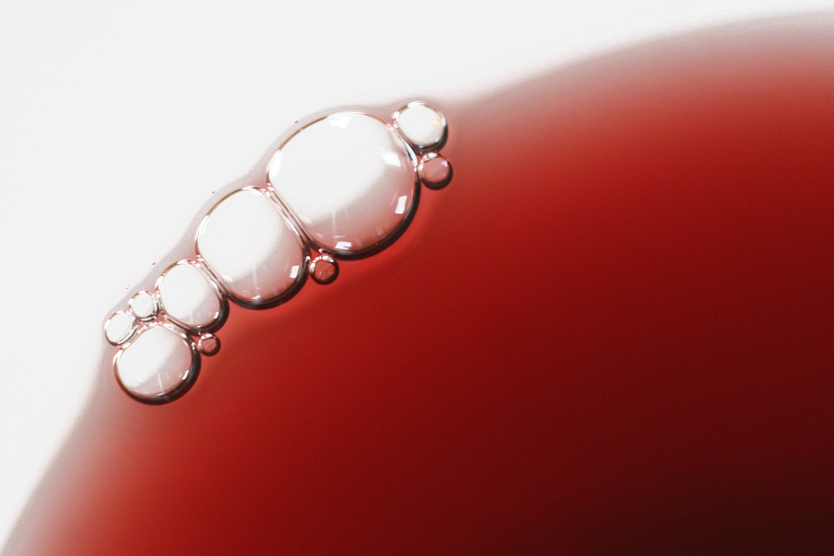 Illustration for article titled Papbor